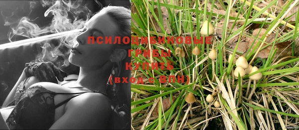 спиды Вяземский