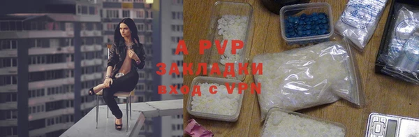 спиды Вяземский