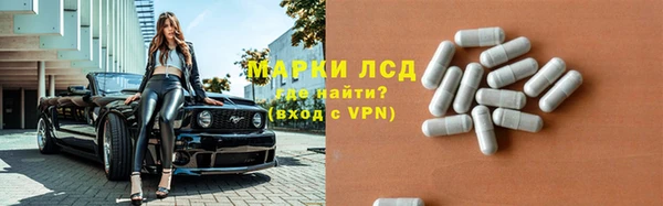 спиды Вяземский