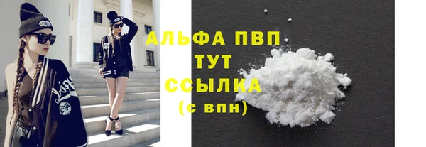 спиды Вяземский