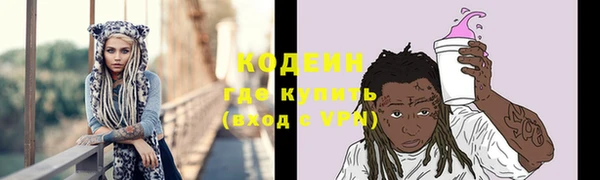 спиды Вяземский