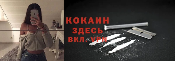 спиды Вяземский