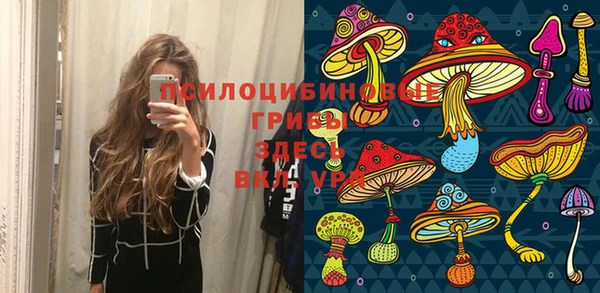 спиды Вяземский