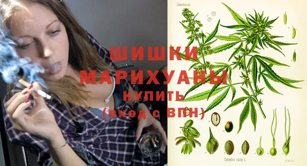 соль ск Горнозаводск