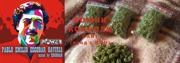 спиды Вяземский