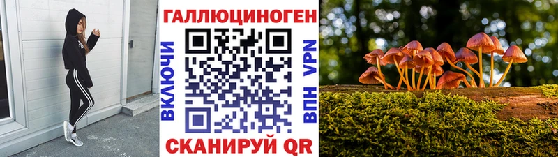 Псилоцибиновые грибы мицелий  Купить  Кондопога 