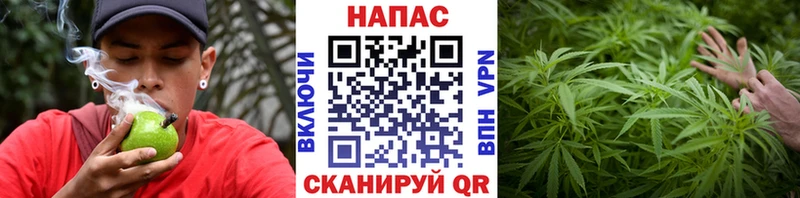 Канабис ГИДРОПОН  Купить  Кондопога 
